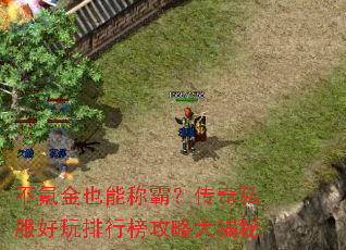 不氪金也能称霸?传奇私服好玩排行榜攻略大揭秘 不氪金也能称霸?传奇私服好玩排行榜攻略大揭秘