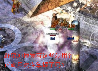 野蛮冲撞竟有这些妙用?正确用法你掌握了吗? 野蛮冲撞竟有这些妙用?正确用法你掌握了吗?