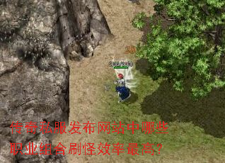 传奇私服发布网站中哪些职业组合刷怪效率最高? 传奇私服发布网站中哪些职业组合刷怪效率最高?