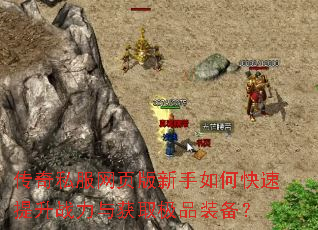 传奇私服网页版新手如何快速提升战力与获取极品装备? 传奇私服网页版新手如何快速提升战力与获取极品装备?