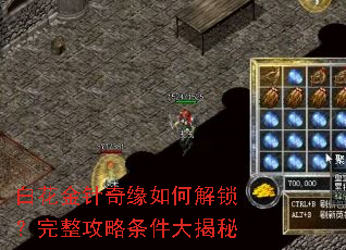 白花金针奇缘如何解锁?完整攻略条件大揭秘 白花金针奇缘如何解锁?完整攻略条件大揭秘
