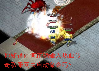 你知道如何正确输入热血传奇私服网关启动命令吗? 你知道如何正确输入热血传奇私服网关启动命令吗?