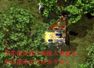 你知道如何正确输入热血传奇私服网关启动命令吗? 你知道如何正确输入热血传奇私服网关启动命令吗?