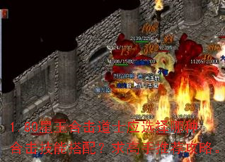 1.80星王合击道士应选择哪种合击技能搭配?求高手推荐攻略。 1.80星王合击道士应选择哪种合击技能搭配?求高手推荐攻略。