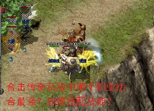 合击传奇私服中哪个职业组合最强?如何搭配技能? 合击传奇私服中哪个职业组合最强?如何搭配技能?