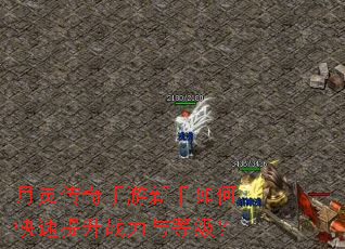 月灵传奇手游新手如何快速提升战力与等级? 月灵传奇手游新手如何快速提升战力与等级?