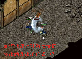 如何快速提升激情传奇私服新开服角色战力? 如何快速提升激情传奇私服新开服角色战力?