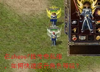 在zhaosf找传奇私服,如何快速提升角色等级? 在zhaosf找传奇私服,如何快速提升角色等级?