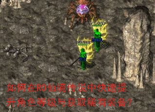 如何在RO仙境传说中快速提升角色等级与获取稀有装备? 如何在RO仙境传说中快速提升角色等级与获取稀有装备?