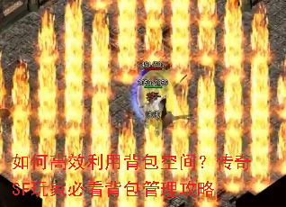 ��θ�Ч���ñ����ռ䣿����SF��ұؿ�������������