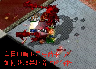 白日门鹰卫是弓箭手吗?如何获取并培养攻略解析 白日门鹰卫是弓箭手吗?如何获取并培养攻略解析