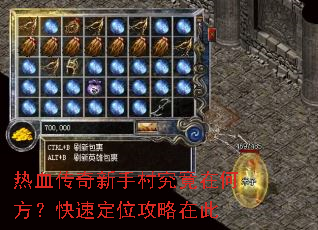 ��Ѫ�������ִ徿���ںη������ٶ�λ�����ڴ�