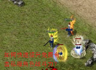 如何快速提升免费合击私服角色战斗力? 如何快速提升免费合击私服角色战斗力?