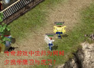 传奇游戏中法师为何鲜少携带鹰卫与虎卫? 传奇游戏中法师为何鲜少携带鹰卫与虎卫?