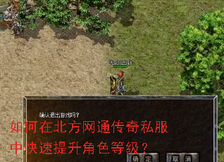 如何在北方网通传奇私服中快速提升角色等级? 如何在北方网通传奇私服中快速提升角色等级?