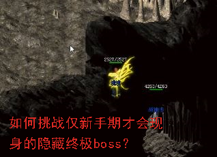 如何挑战仅新手期才会现身的隐藏终极boss? 如何挑战仅新手期才会现身的隐藏终极boss?