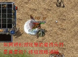 ��α����Ϸ�������ͷĿ�����Ǽ٣��ռ����Խ���