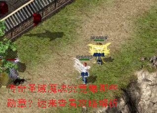 传奇圣域魔魂究竟爆哪些勋章?速来查看攻略解析 传奇圣域魔魂究竟爆哪些勋章?速来查看攻略解析