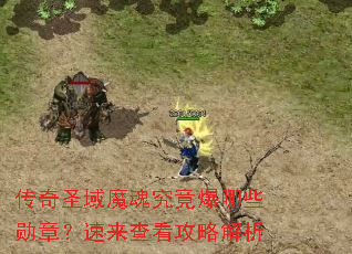 传奇圣域魔魂究竟爆哪些勋章?速来查看攻略解析 传奇圣域魔魂究竟爆哪些勋章?速来查看攻略解析