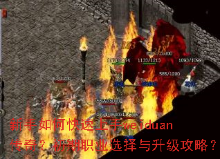 ������ο�������weiduan���棿����ְҵѡ�����������ԣ�