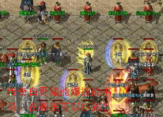 传奇白野猪能爆技能书吗,在哪里可以打到? 传奇白野猪能爆技能书吗,在哪里可以打到?
