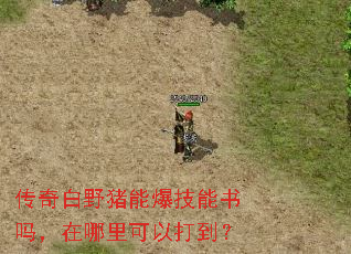 传奇白野猪能爆技能书吗,在哪里可以打到? 传奇白野猪能爆技能书吗,在哪里可以打到?