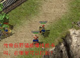 传奇白野猪能爆技能书吗,在哪里可以打到? 传奇白野猪能爆技能书吗,在哪里可以打到?