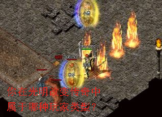 你在光明改变传奇中属于哪种玩家类型? 你在光明改变传奇中属于哪种玩家类型?