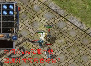 如何在wow私服中快速提升传奇角色等级? 如何在wow私服中快速提升传奇角色等级?