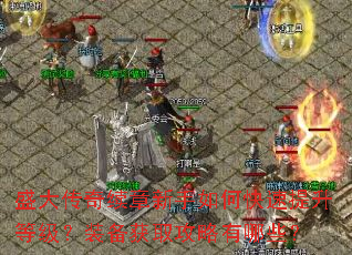 盛大传奇续章新手如何快速提升等级?装备获取攻略有哪些? 盛大传奇续章新手如何快速提升等级?装备获取攻略有哪些?