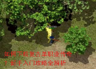如何下载复古单职业传奇?新手入门攻略全解析 如何下载复古单职业传奇?新手入门攻略全解析