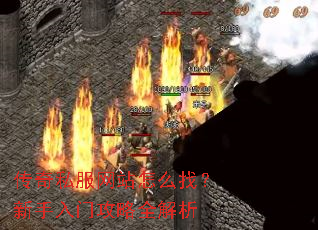 传奇私服网站怎么找?新手入门攻略全解析 传奇私服网站怎么找?新手入门攻略全解析