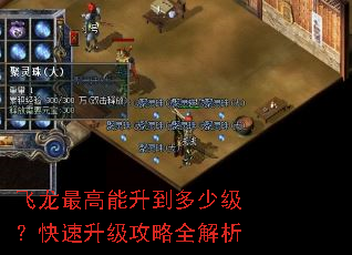 飞龙最高能升到多少级?快速升级攻略全解析 飞龙最高能升到多少级?快速升级攻略全解析