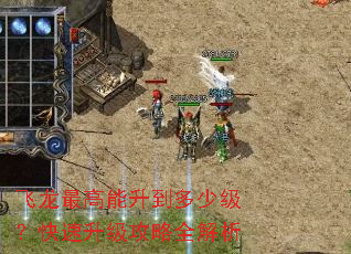 飞龙最高能升到多少级?快速升级攻略全解析 飞龙最高能升到多少级?快速升级攻略全解析