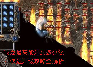 飞龙最高能升到多少级?快速升级攻略全解析 飞龙最高能升到多少级?快速升级攻略全解析