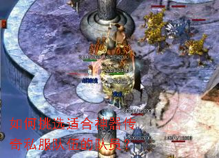�����ѡ�ʺ���������˽������Ķ�Ա��