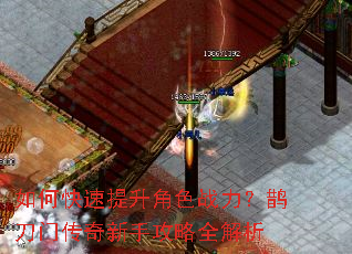 如何快速提升角色战力?鹊刀门传奇新手攻略全解析 如何快速提升角色战力?鹊刀门传奇新手攻略全解析
