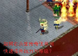 如何在永生传奇优书网快速提升战力与等级? 如何在永生传奇优书网快速提升战力与等级?