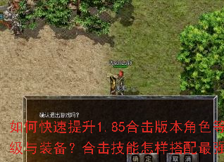 如何快速提升1.85合击版本角色等级与装备?合击技能怎样搭配最强? 如何快速提升1.85合击版本角色等级与装备?合击技能怎样搭配最强?