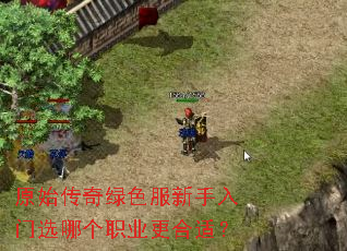 原始传奇绿色服新手入门选哪个职业更合适? 原始传奇绿色服新手入门选哪个职业更合适?