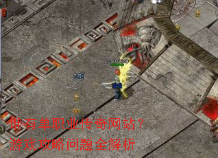 谁有单职业传奇网站?游戏攻略问题全解析 谁有单职业传奇网站?游戏攻略问题全解析