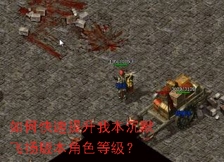 如何快速提升我本沉默飞扬版本角色等级? 如何快速提升我本沉默飞扬版本角色等级?