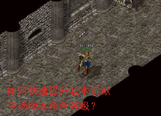如何快速提升我本沉默飞扬版本角色等级? 如何快速提升我本沉默飞扬版本角色等级?