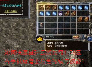 如何快速提升云游传奇1.76复古手机版道士角色等级与技能? 如何快速提升云游传奇1.76复古手机版道士角色等级与技能?