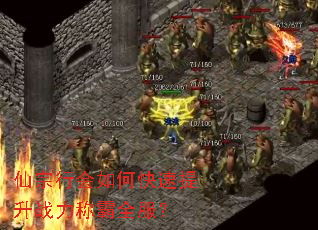 仙宗行会如何快速提升战力称霸全服? 仙宗行会如何快速提升战力称霸全服?