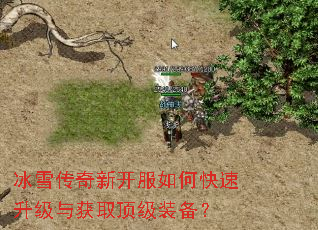 冰雪传奇新开服如何快速升级与获取顶级装备? 冰雪传奇新开服如何快速升级与获取顶级装备?