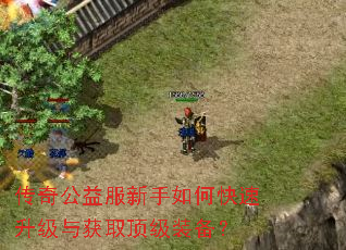 传奇公益服新手如何快速升级与获取顶级装备? 传奇公益服新手如何快速升级与获取顶级装备?