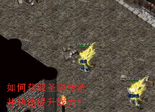 如何获取圣皇传承并快速提升战力? 如何获取圣皇传承并快速提升战力?