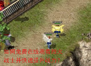 如何免费在线观看烈火战士并快速提升战力? 如何免费在线观看烈火战士并快速提升战力?