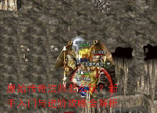 ԭʼ���淨ʦ��ô�棿������������׹���ȫ����